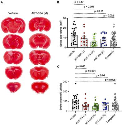 Adenosine A1R/A3R agonist AST-004 reduces brain infarction in mouse and rat models of acute ischemic stroke